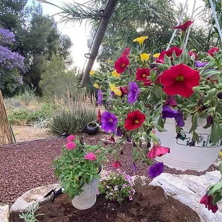 Bit Cabin Near The Airport Kfar Daniel Экстерьер фото
